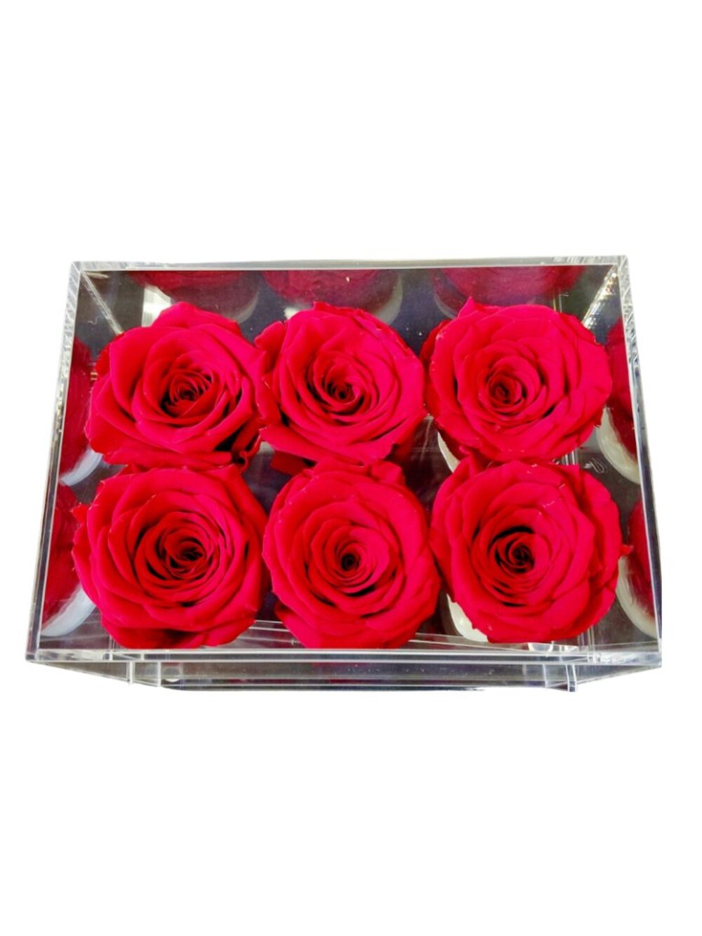 Preserved Red Roses (6) in Acrylic Display Box - New